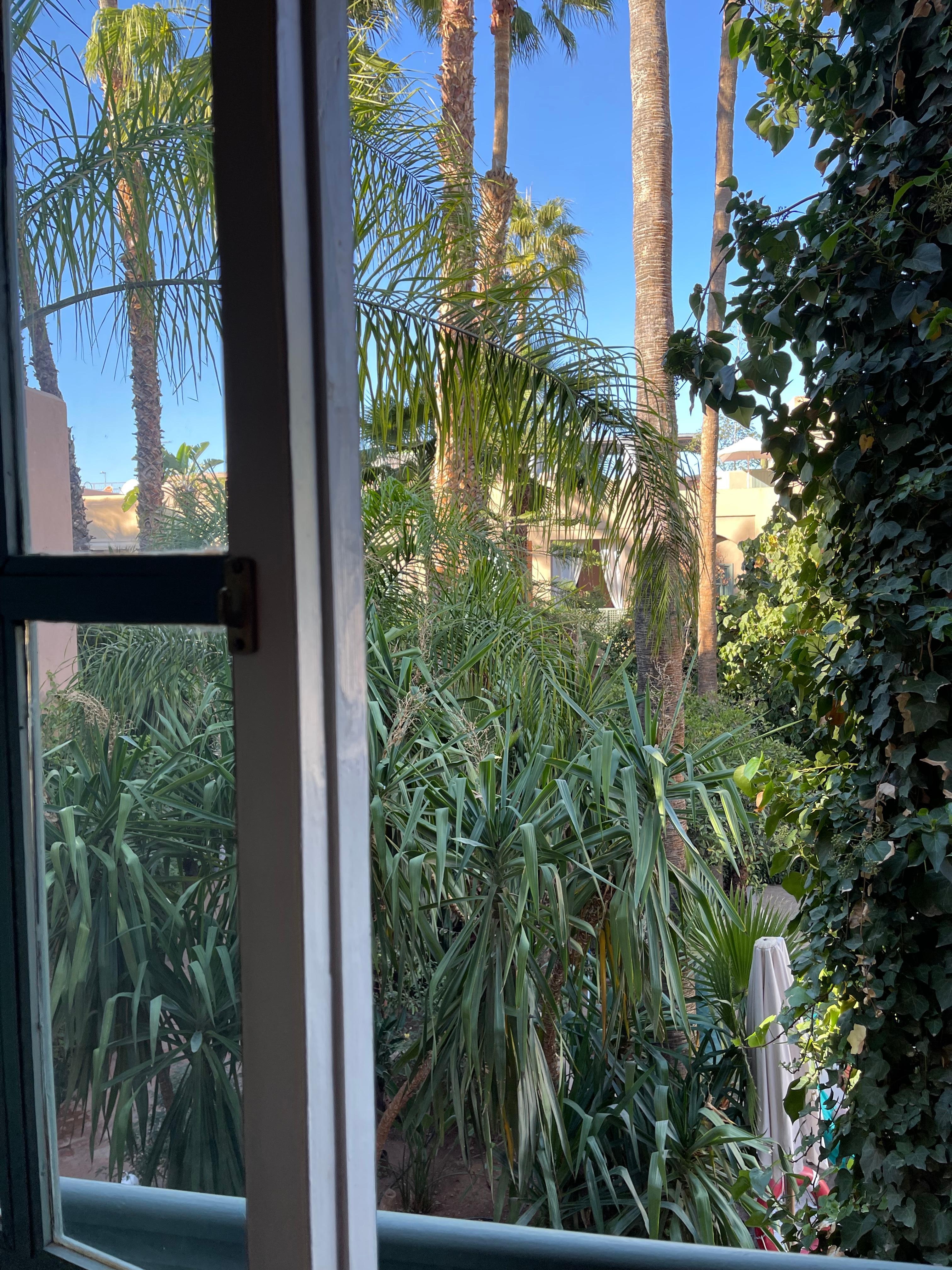 Vista desde mi habitación