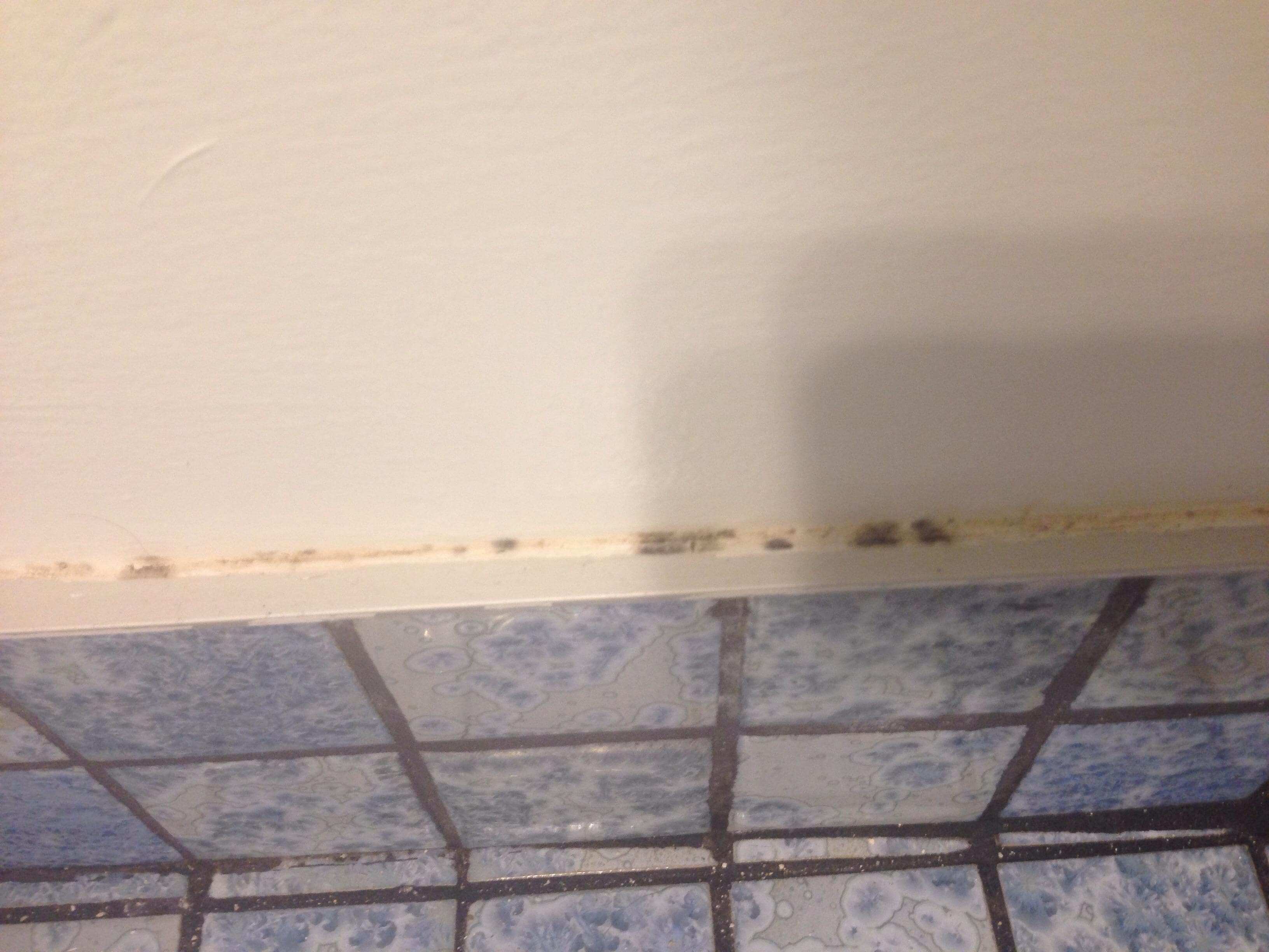 Bathroom mold