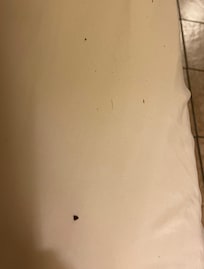 Dirty sheets