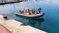 Dolphin search. Super nice crew. We did see dolphins and they were amazing! Fuerteventural Full Experience