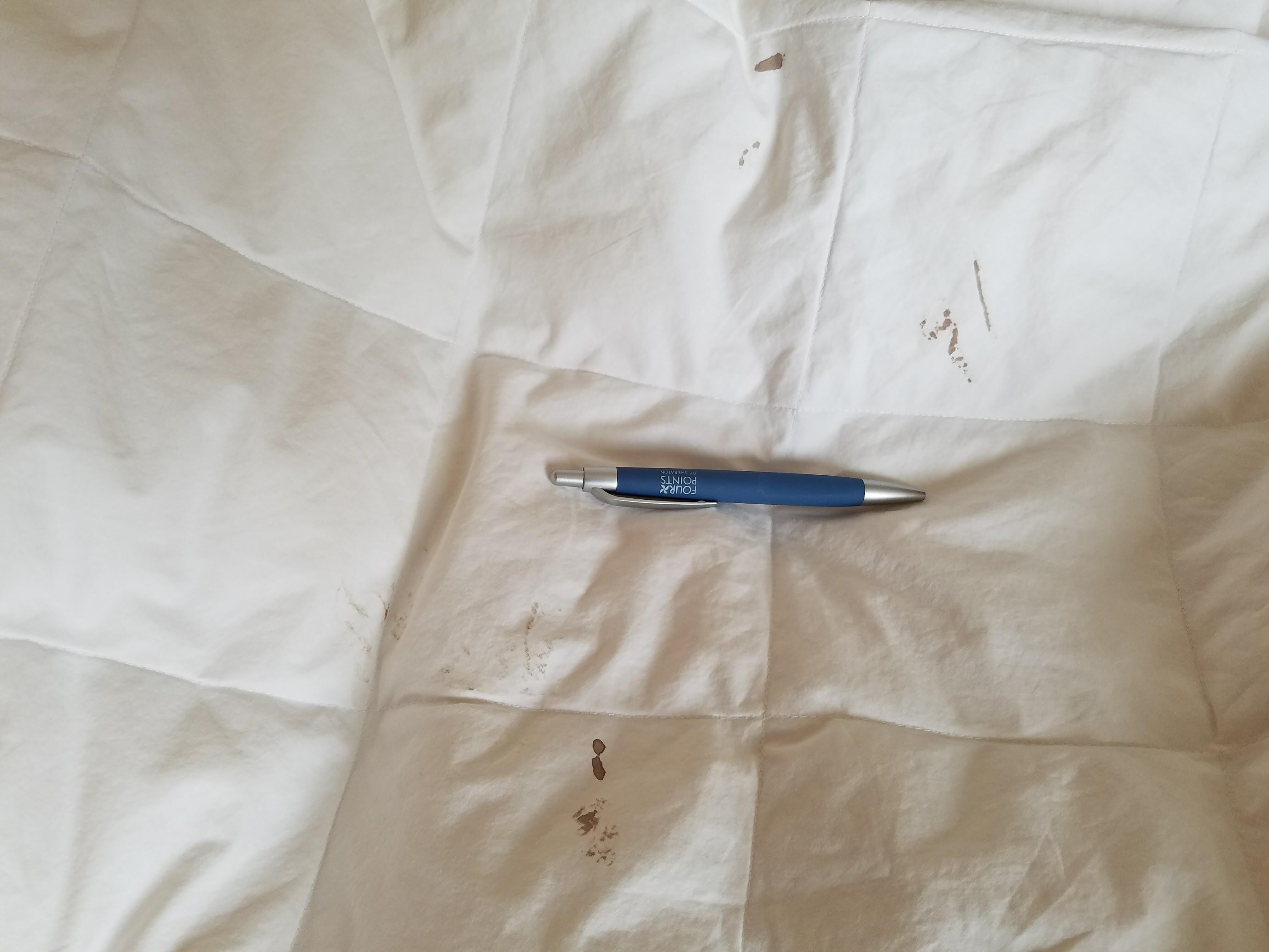 blood on duvet