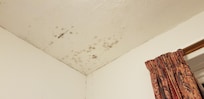 Mould in the bathroom.