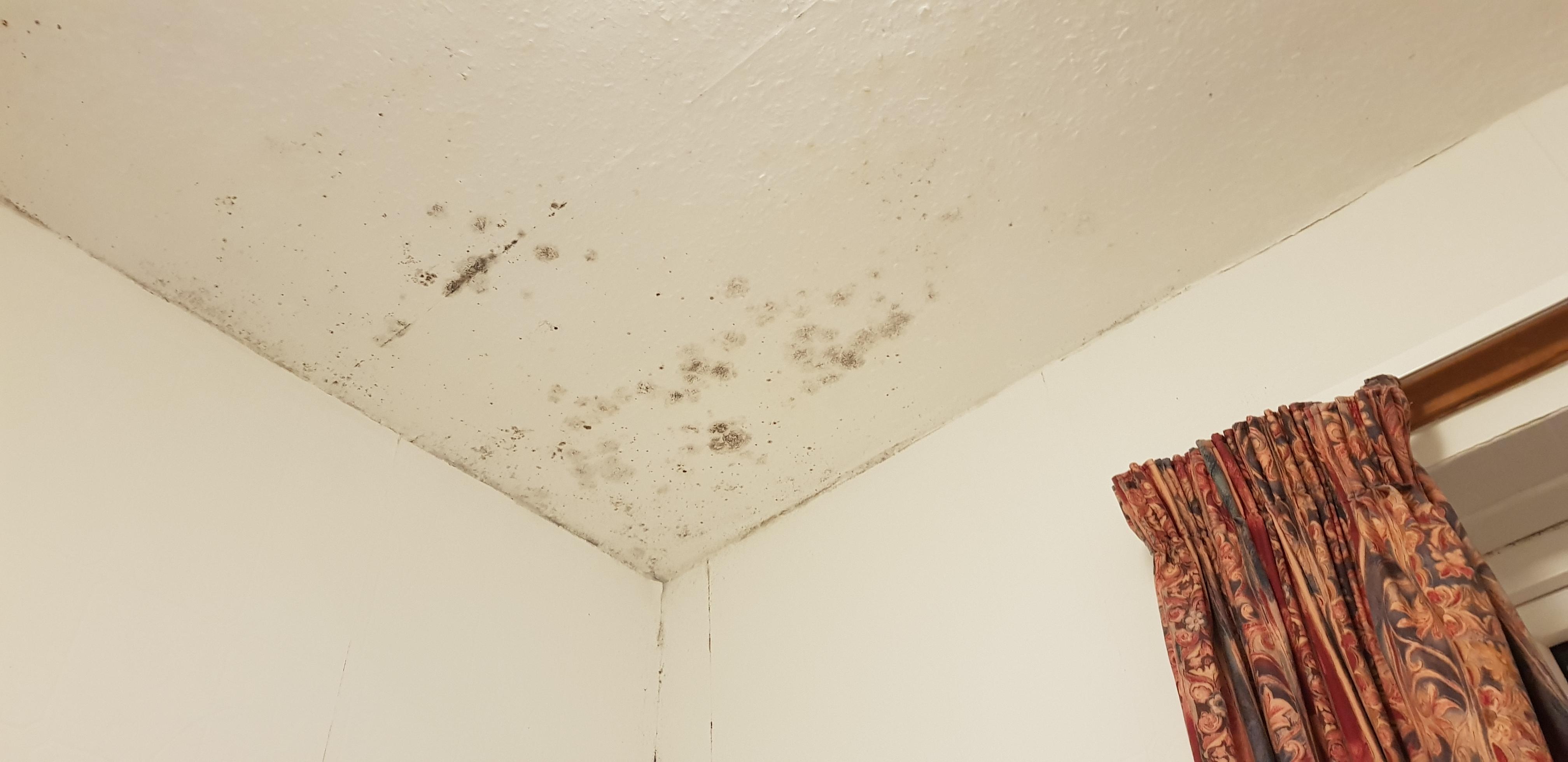 Mould in the bathroom.