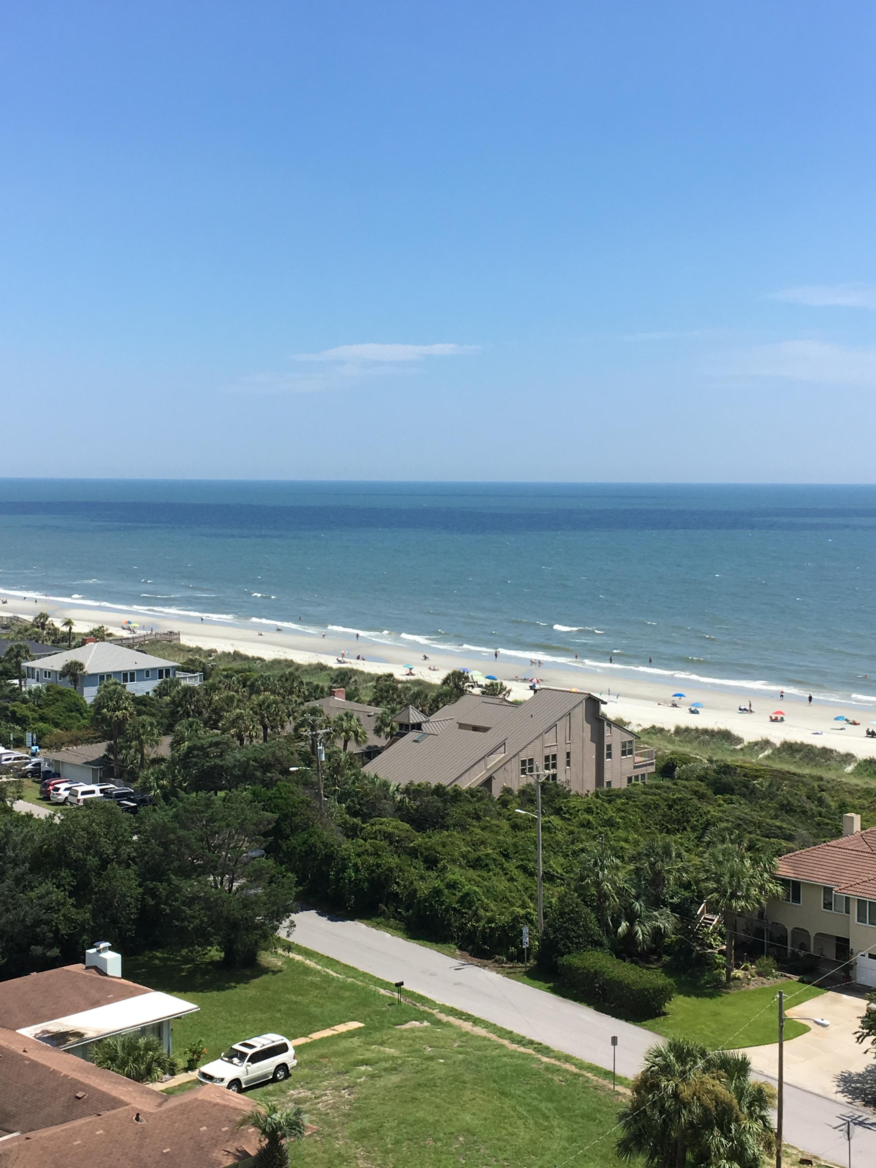 The view