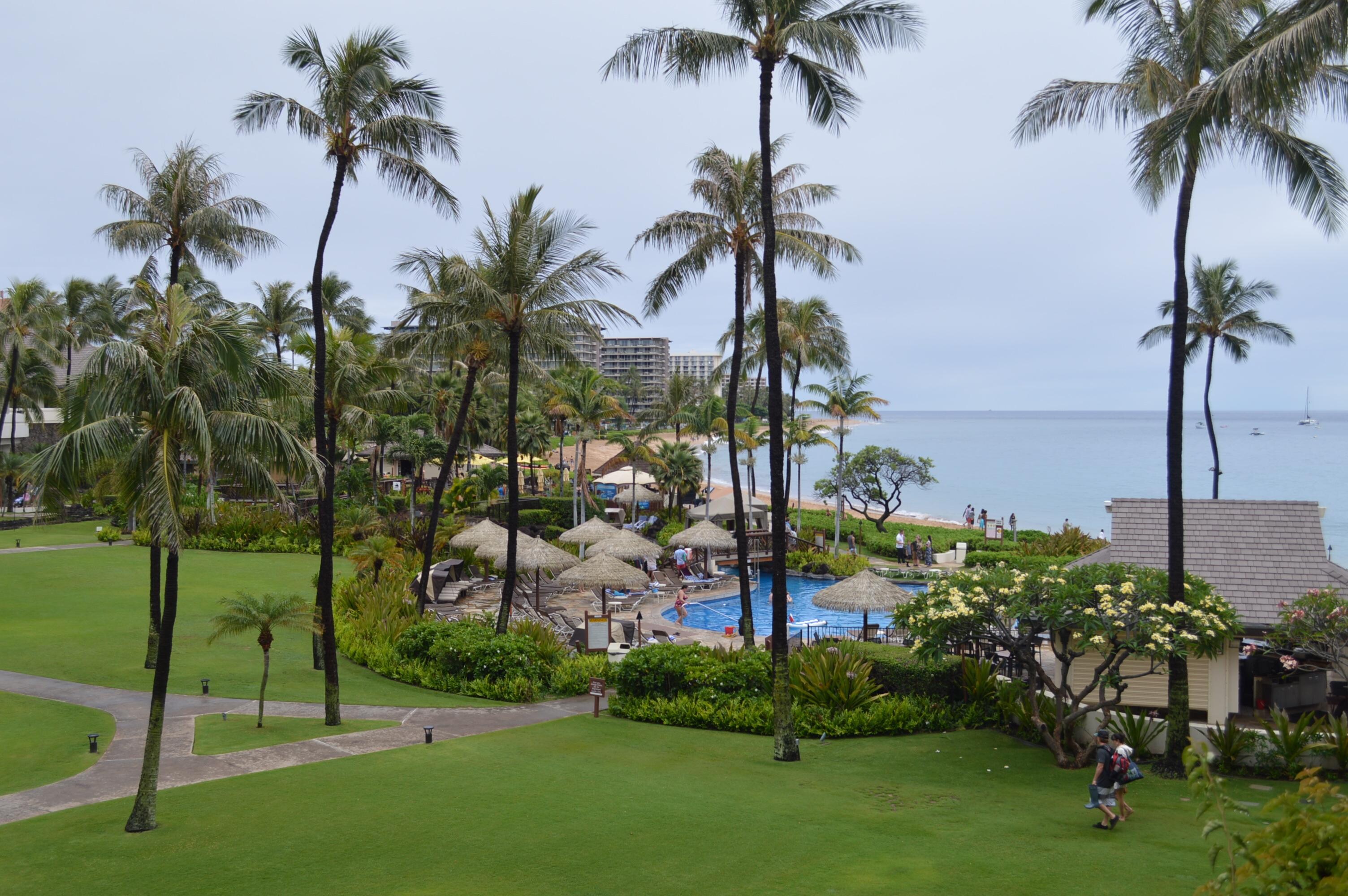 our room view