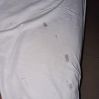 Bed sheets were stained when we arrived.