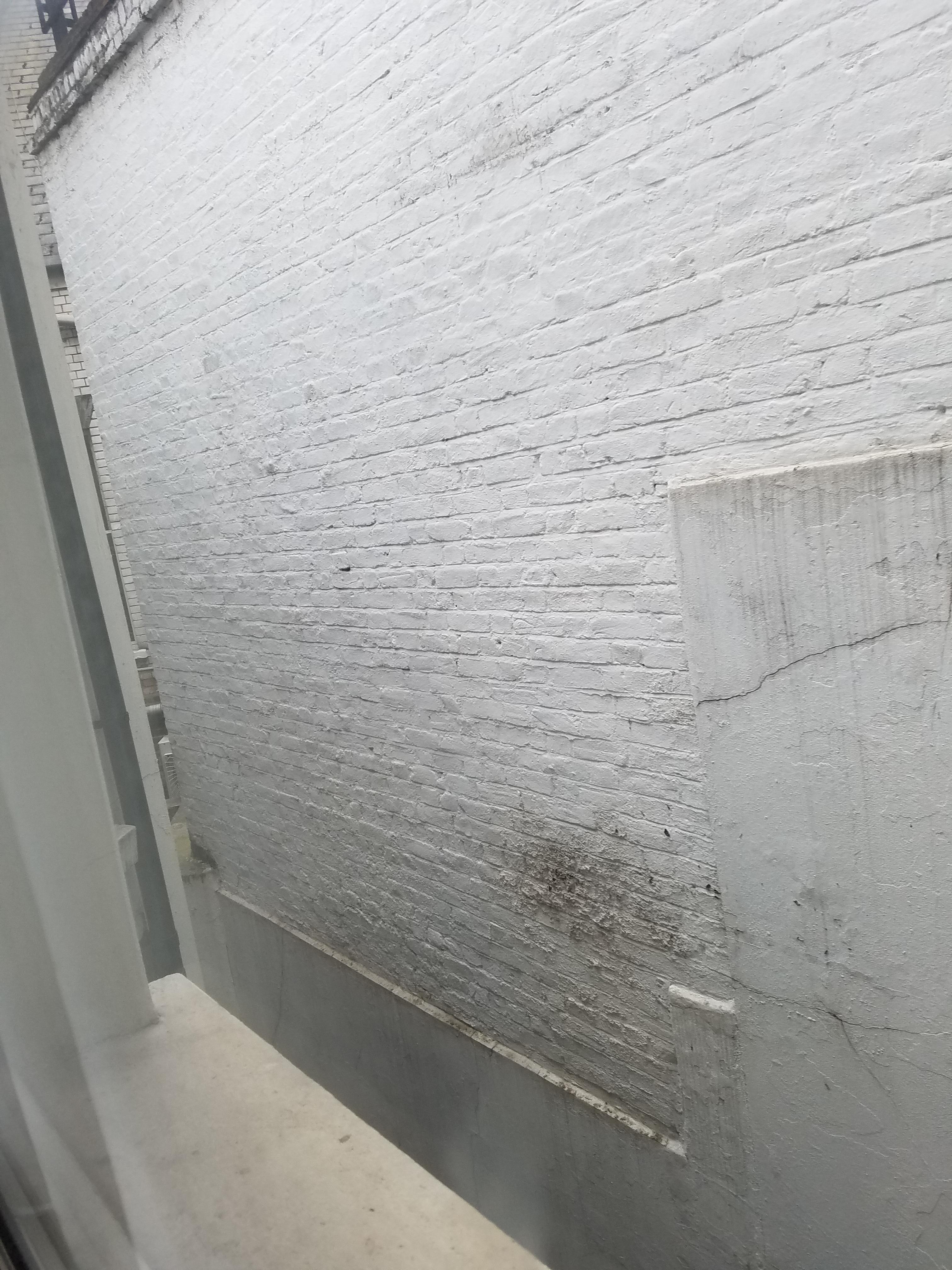 A room with a view