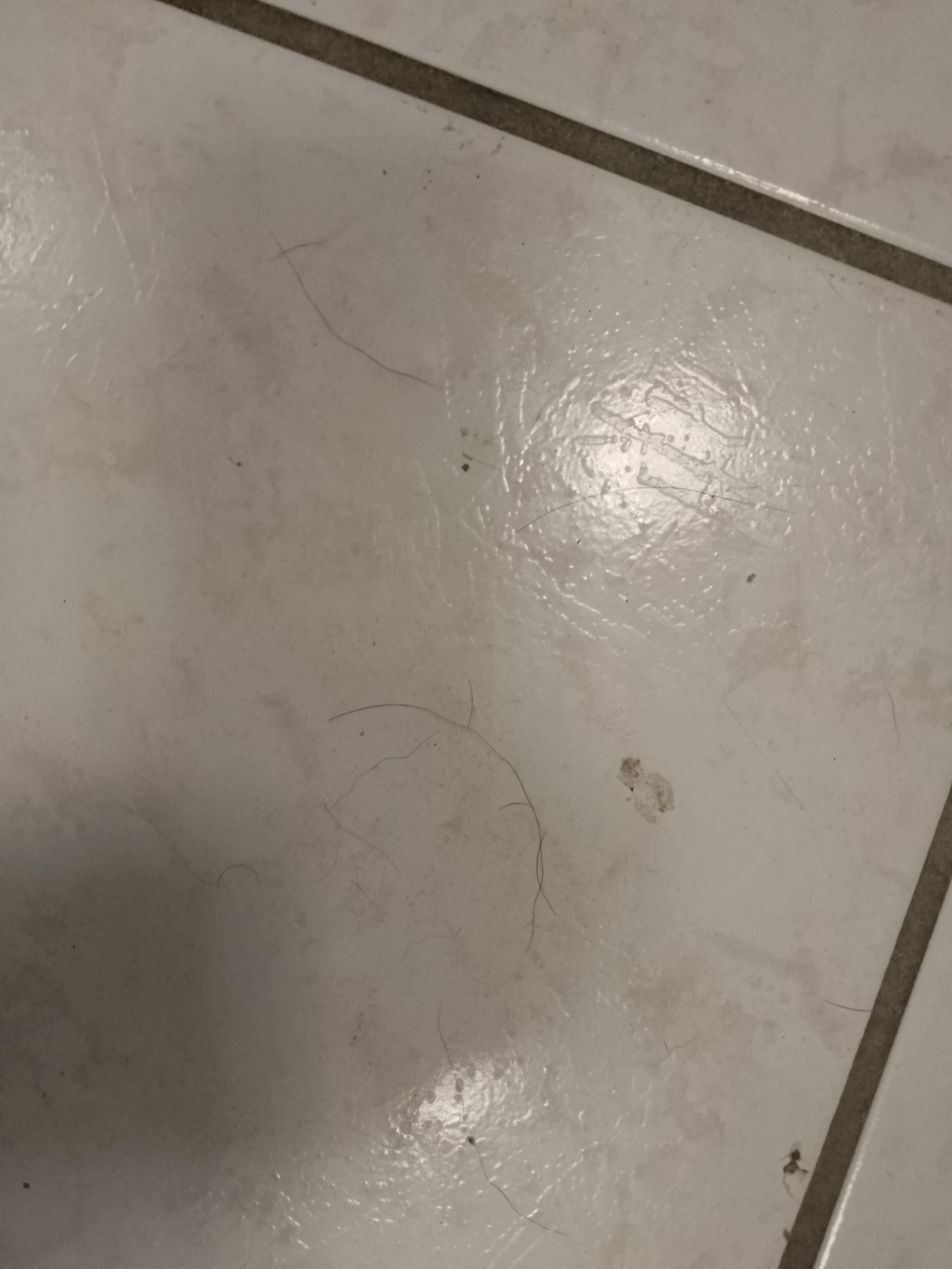 Dirty and hair on floors