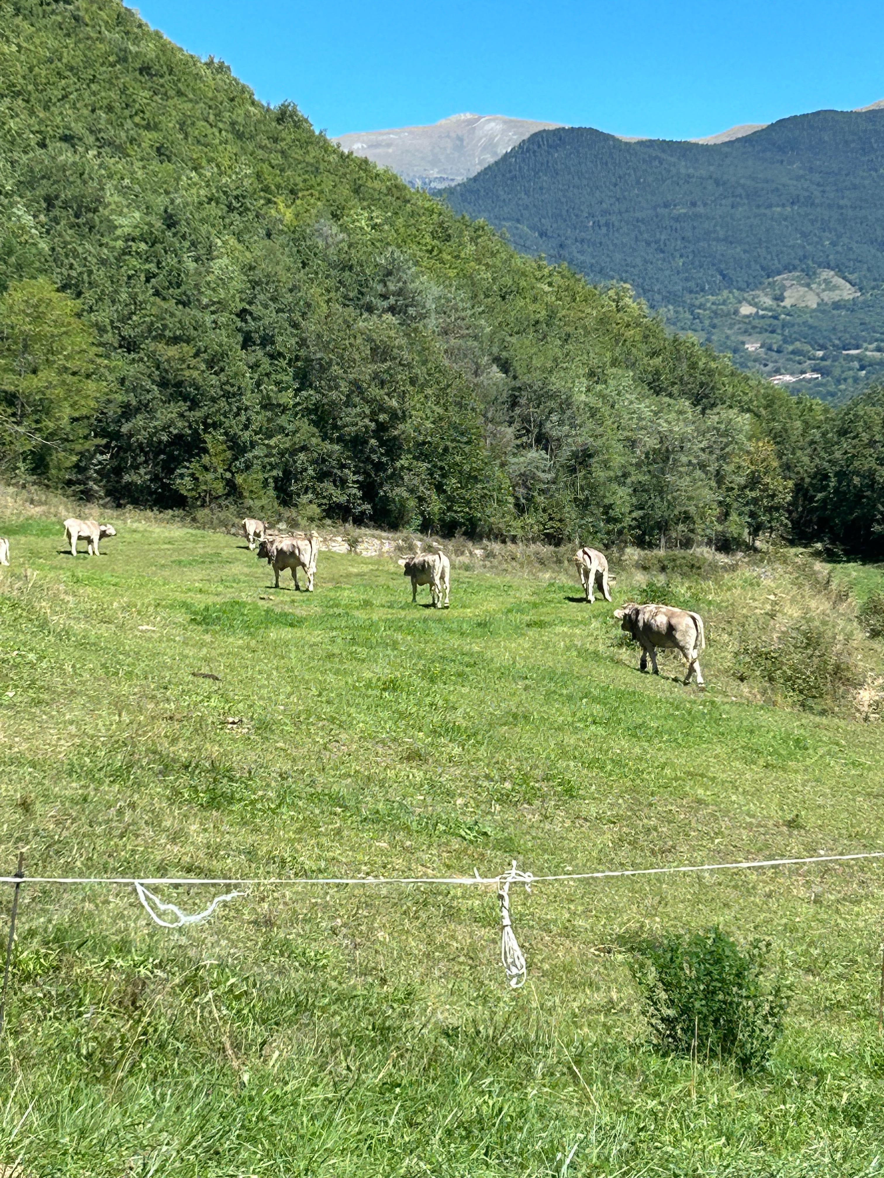 Naturaleza