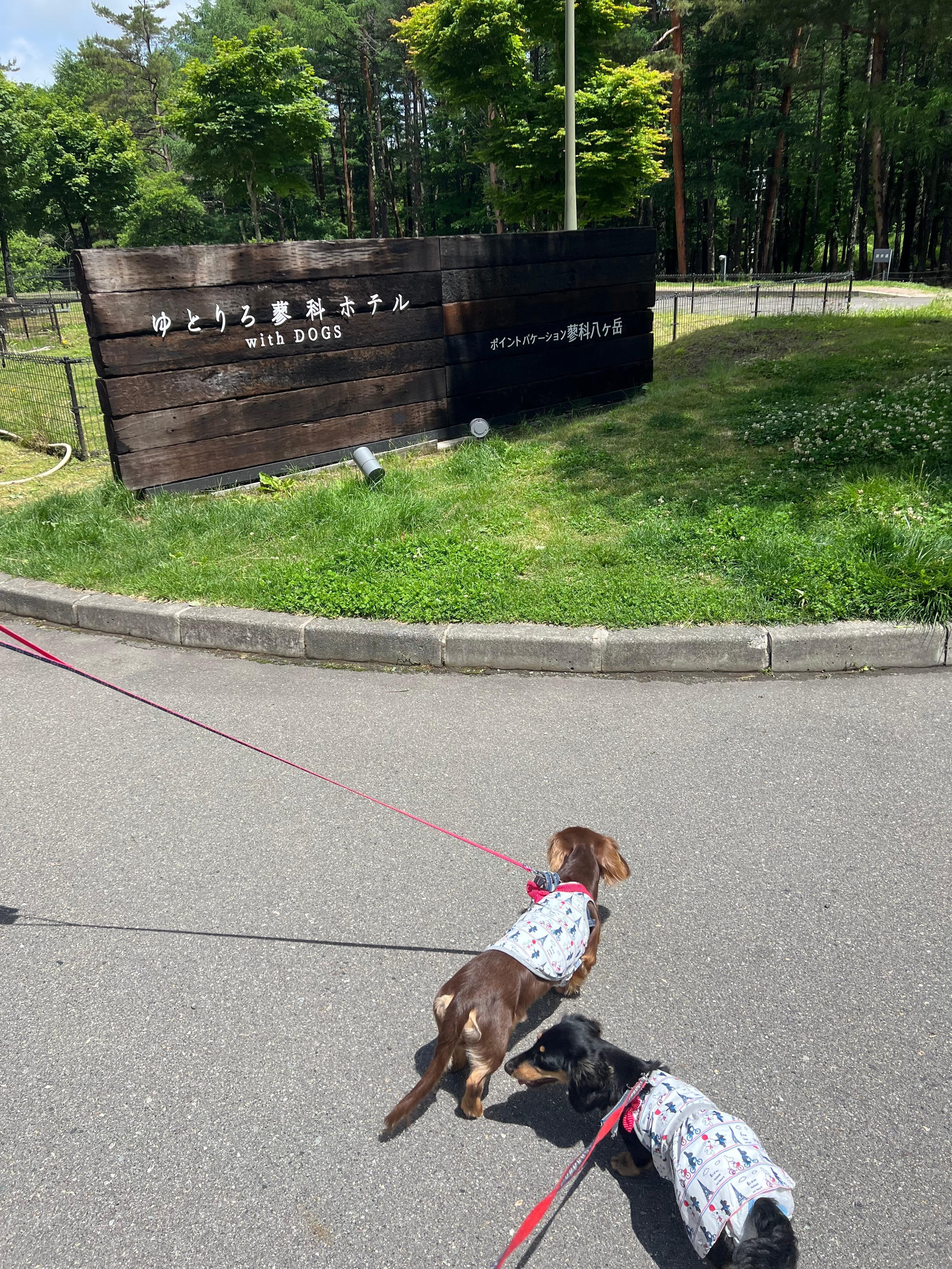 Yutorelo Tateshina Hotel With Dogs Chino Japan Chino Hotel Discounts Hotels Com Yutorelo Tateshina Hotel With Dogs Chino Japan Chino Hotel Discounts Hotels Com