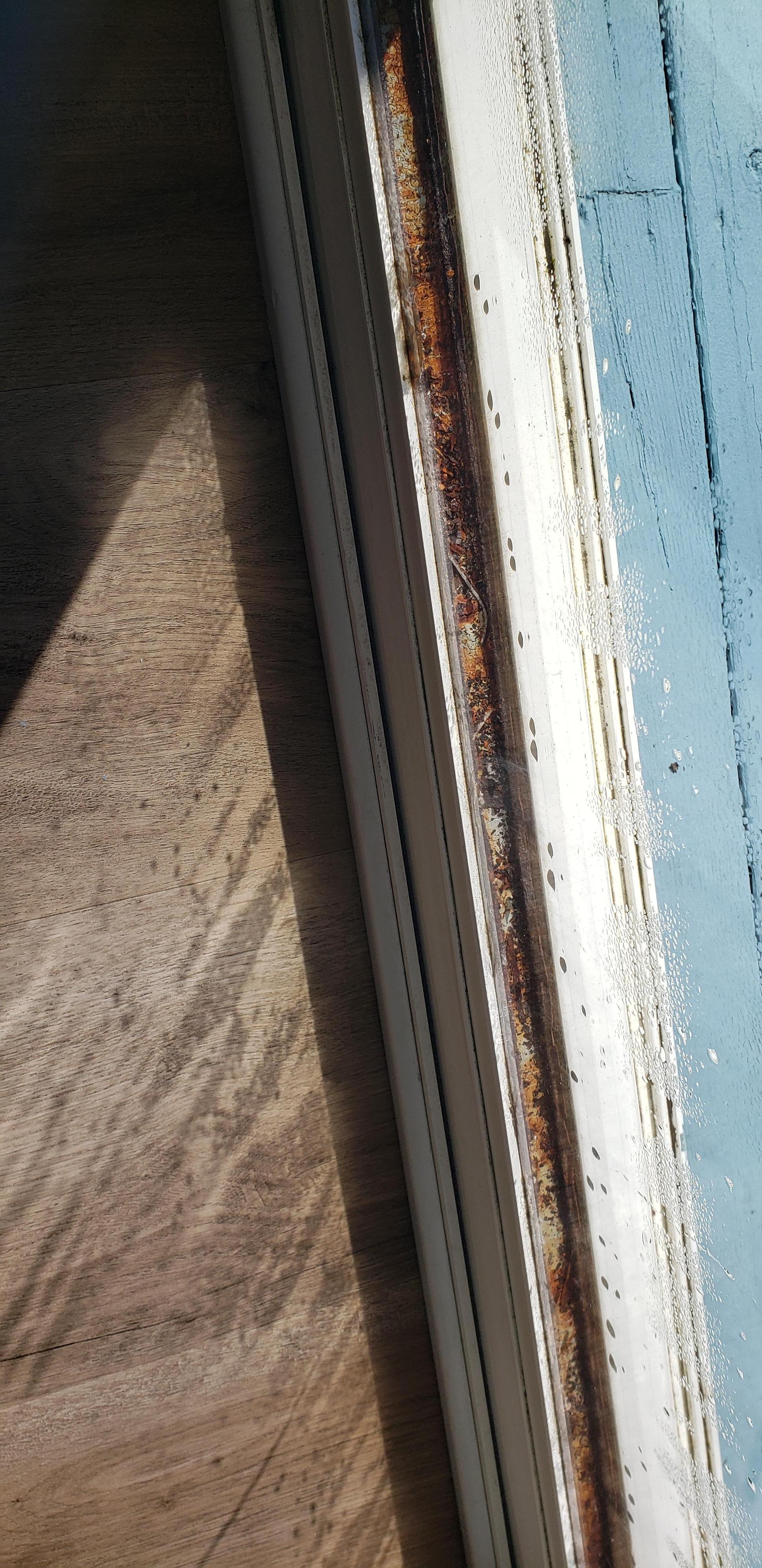 Mold at the bottom of the sliding glass door