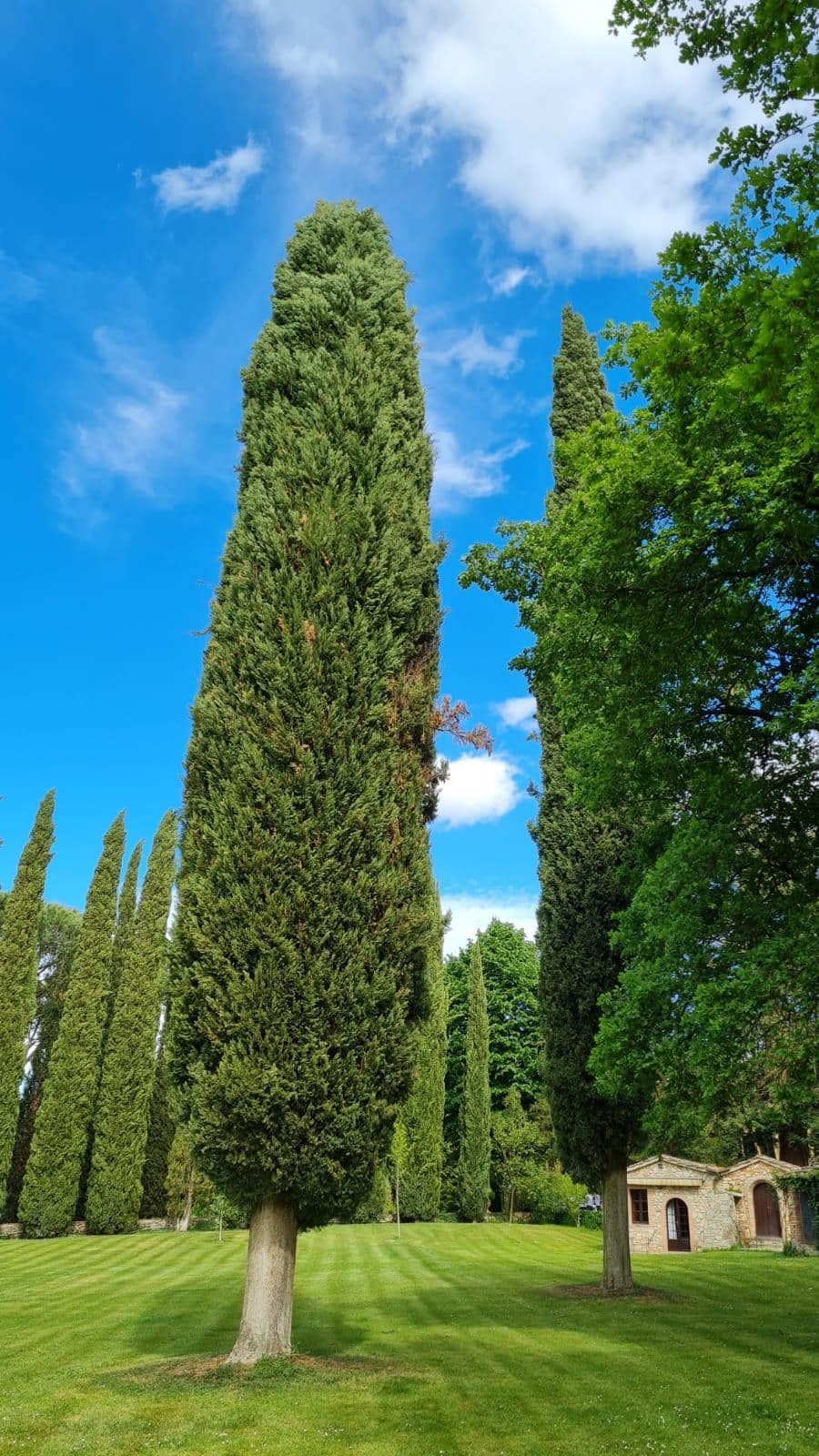 Il parco