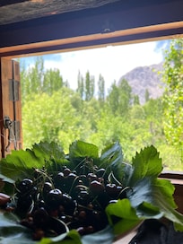 View from room