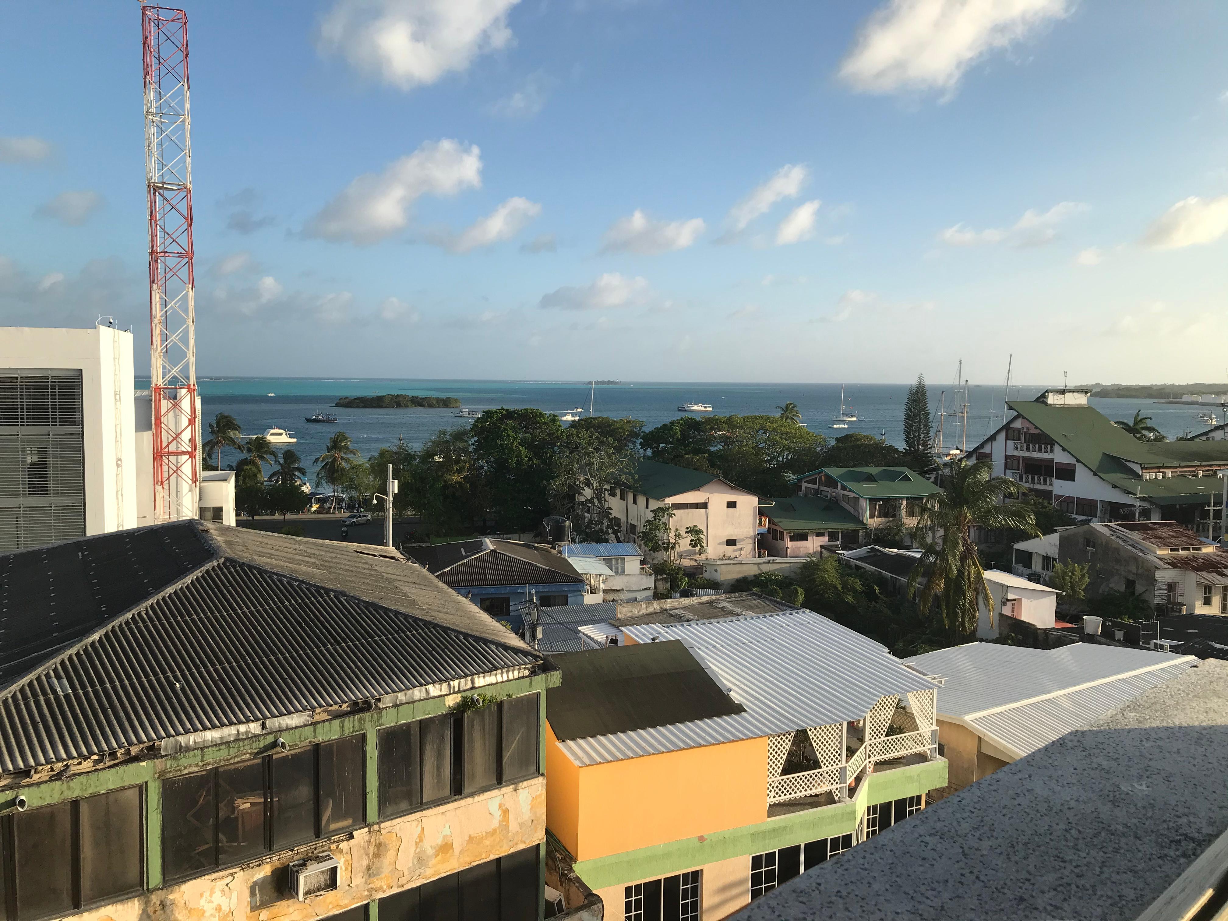 Rooftop view