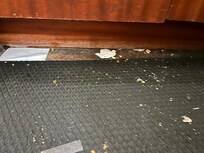 Gulvet i resepsjonene, bak disken!!