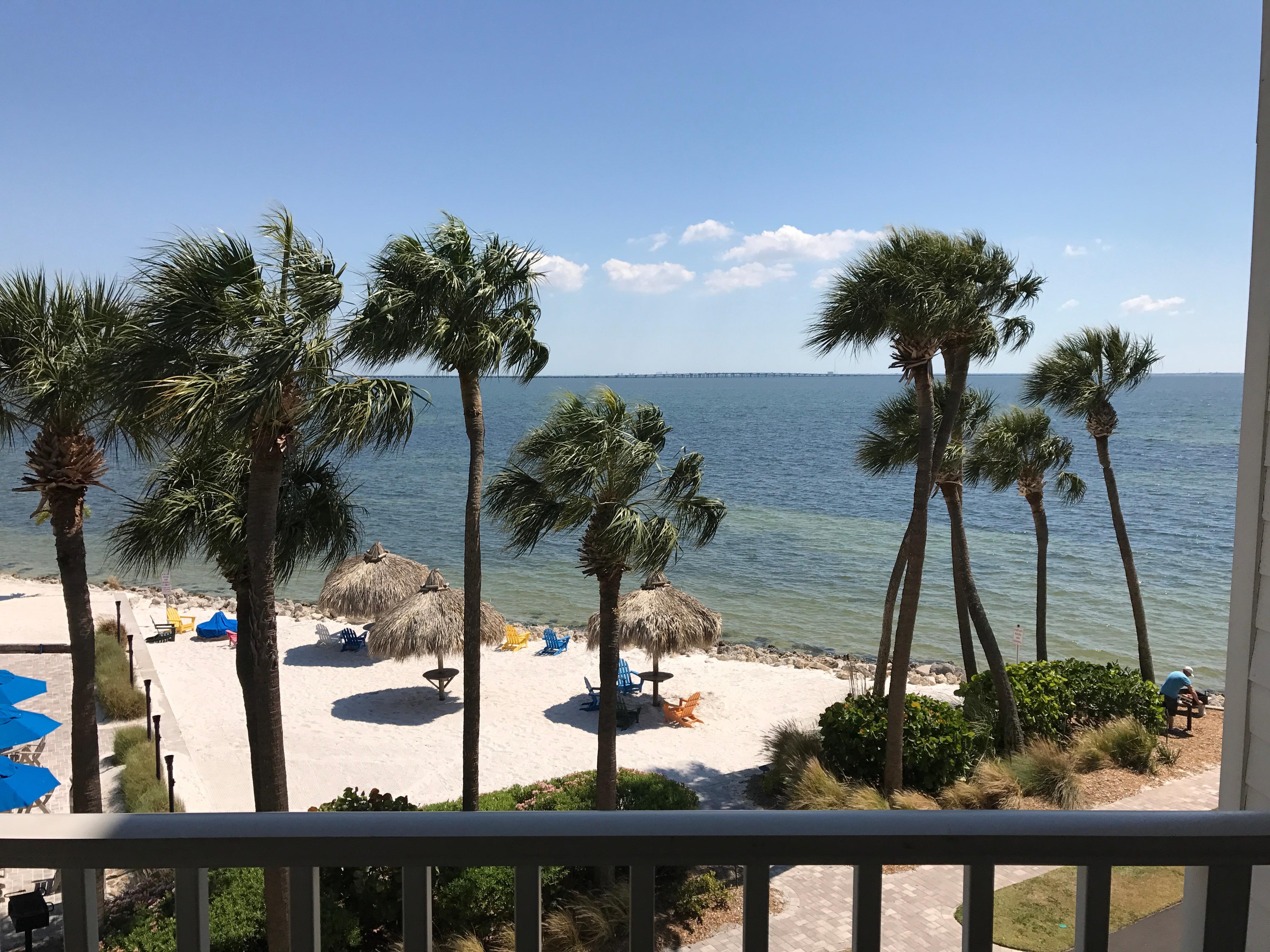 Room with a view