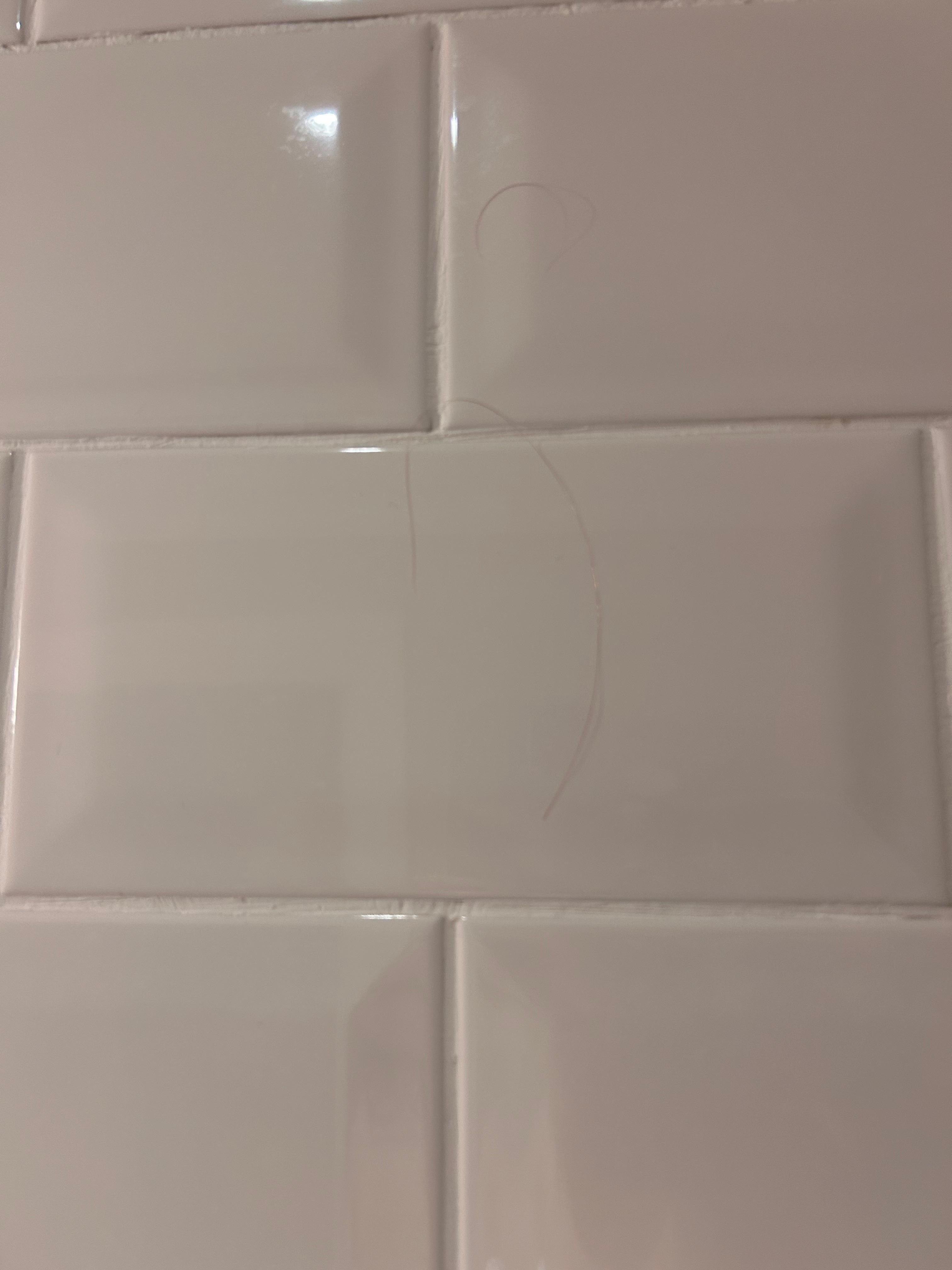 Hair on bathroom walls