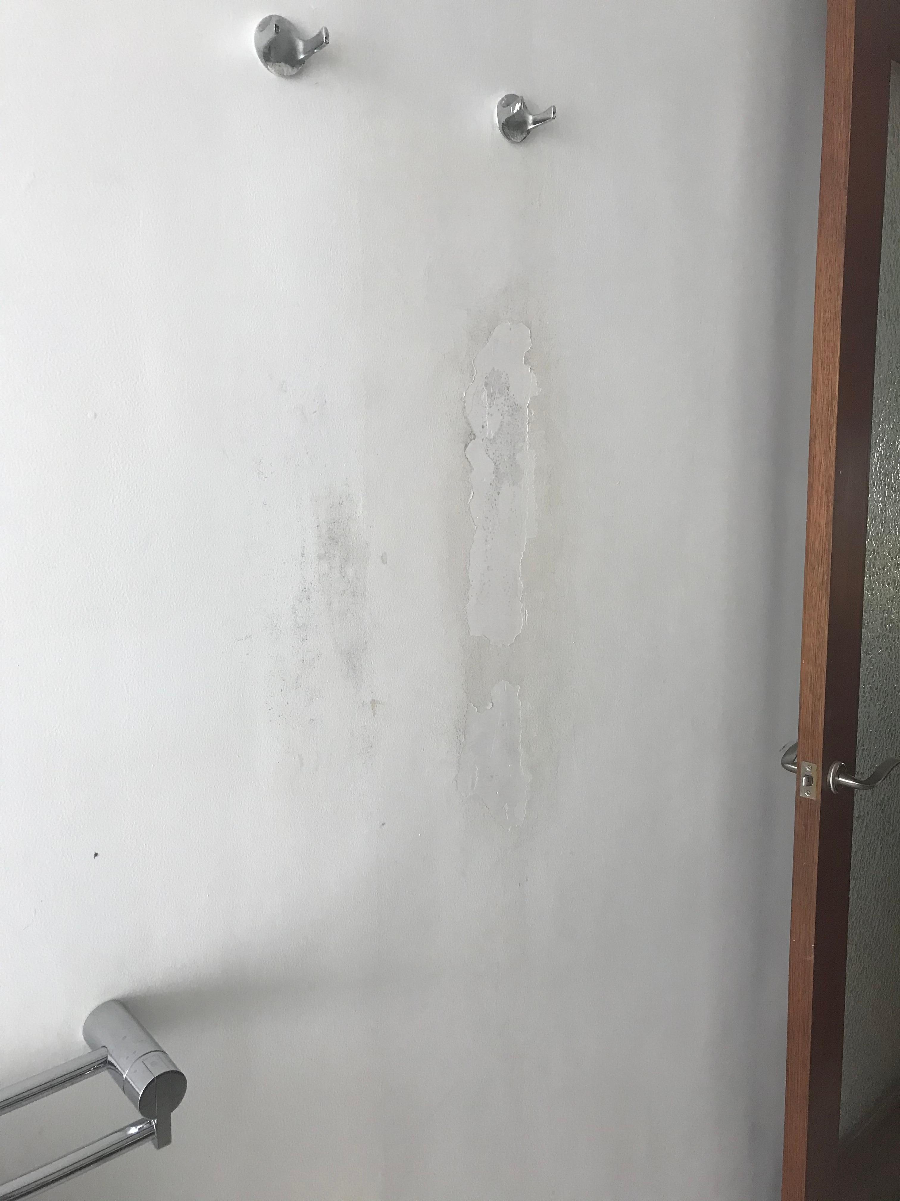 Mould in walls 