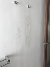 Mould in walls