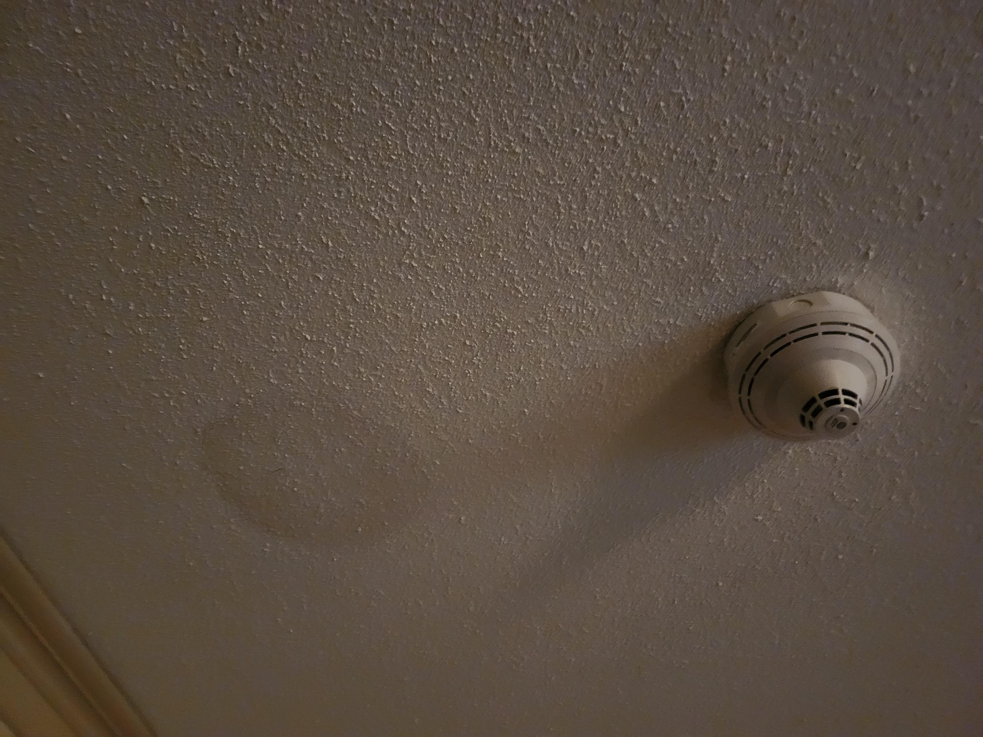 One of those "little" problems.  The watermark on the ceiling was as big as the smoke detector.