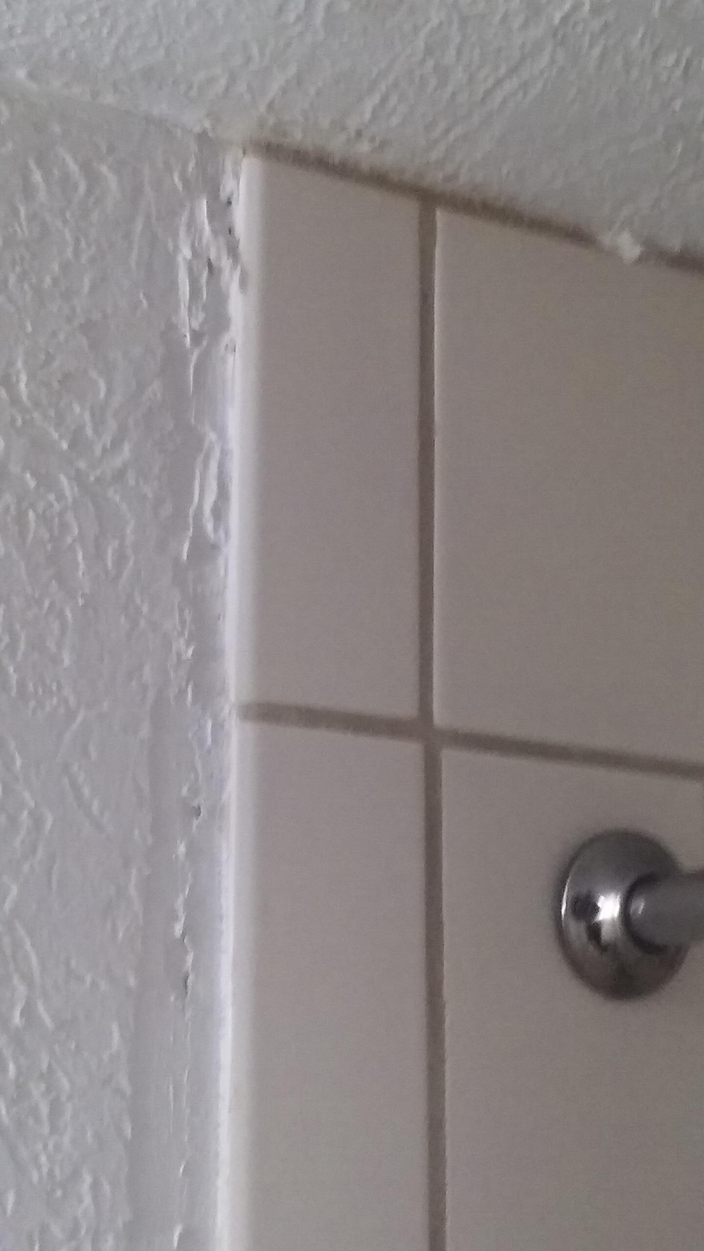shower