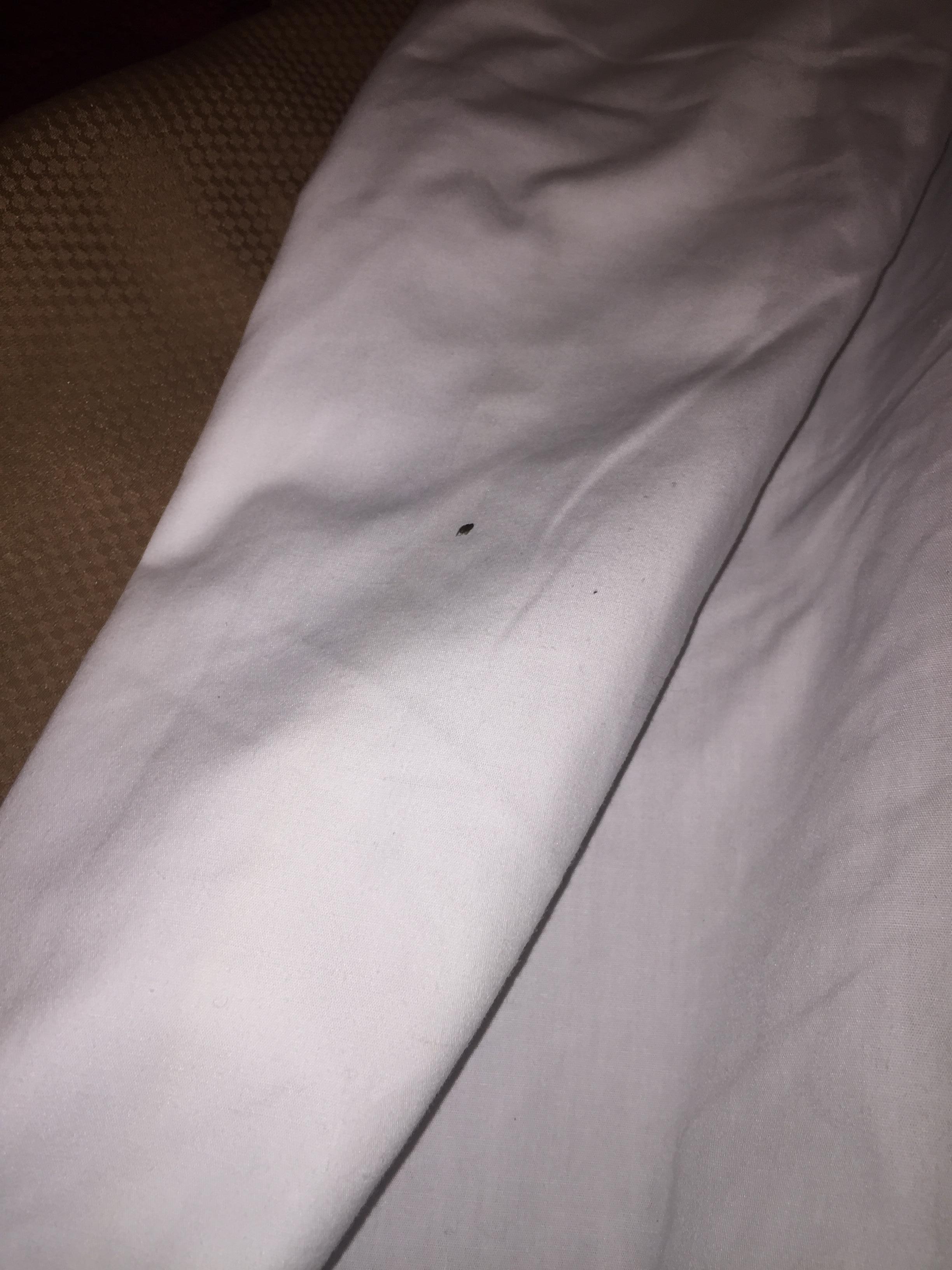Dead bug