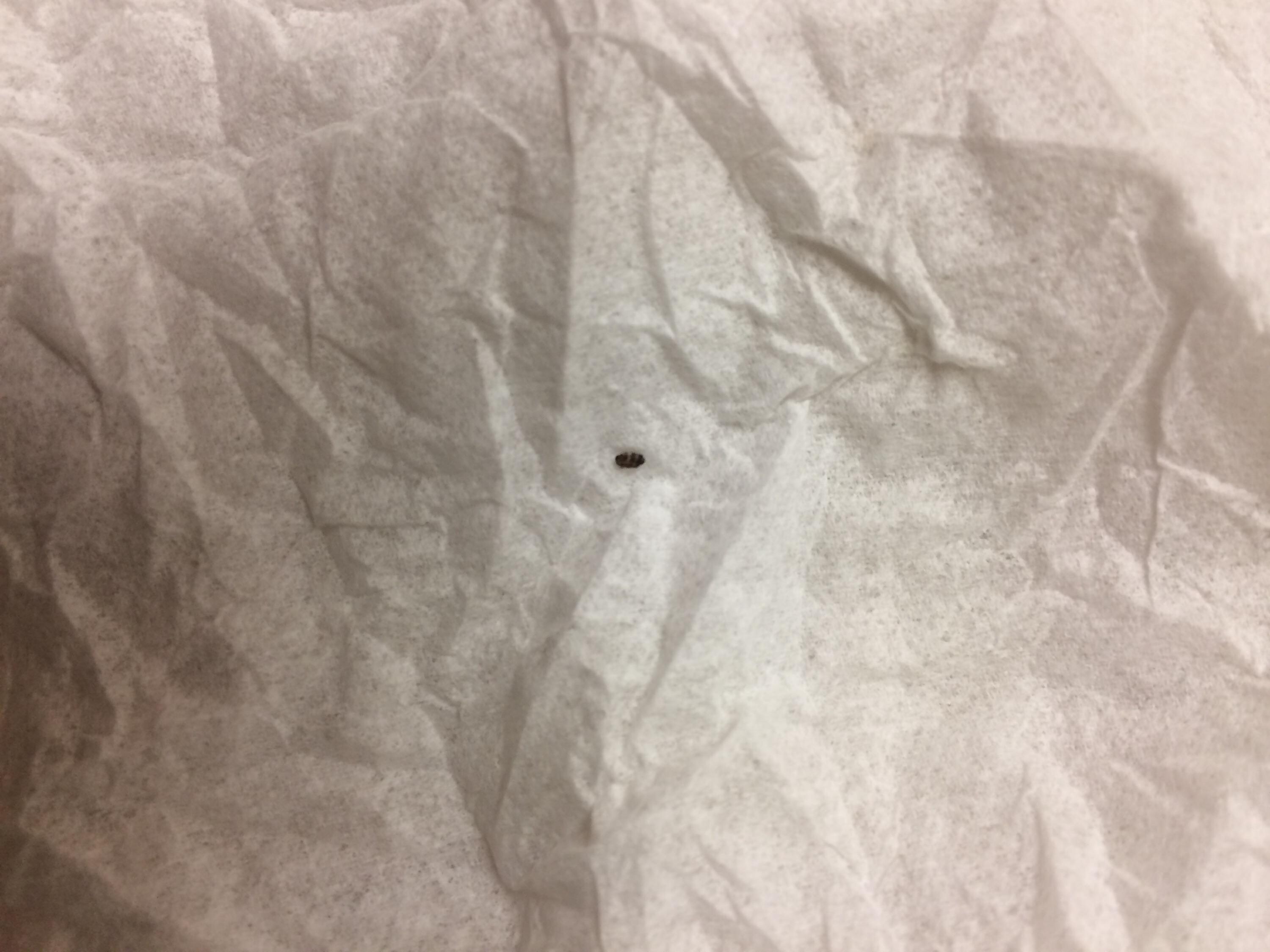 What is it?