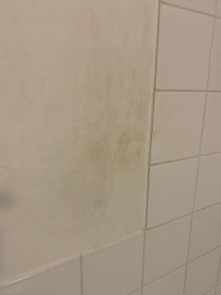 Dirty handmarks on the wall as you climb in to use the shower