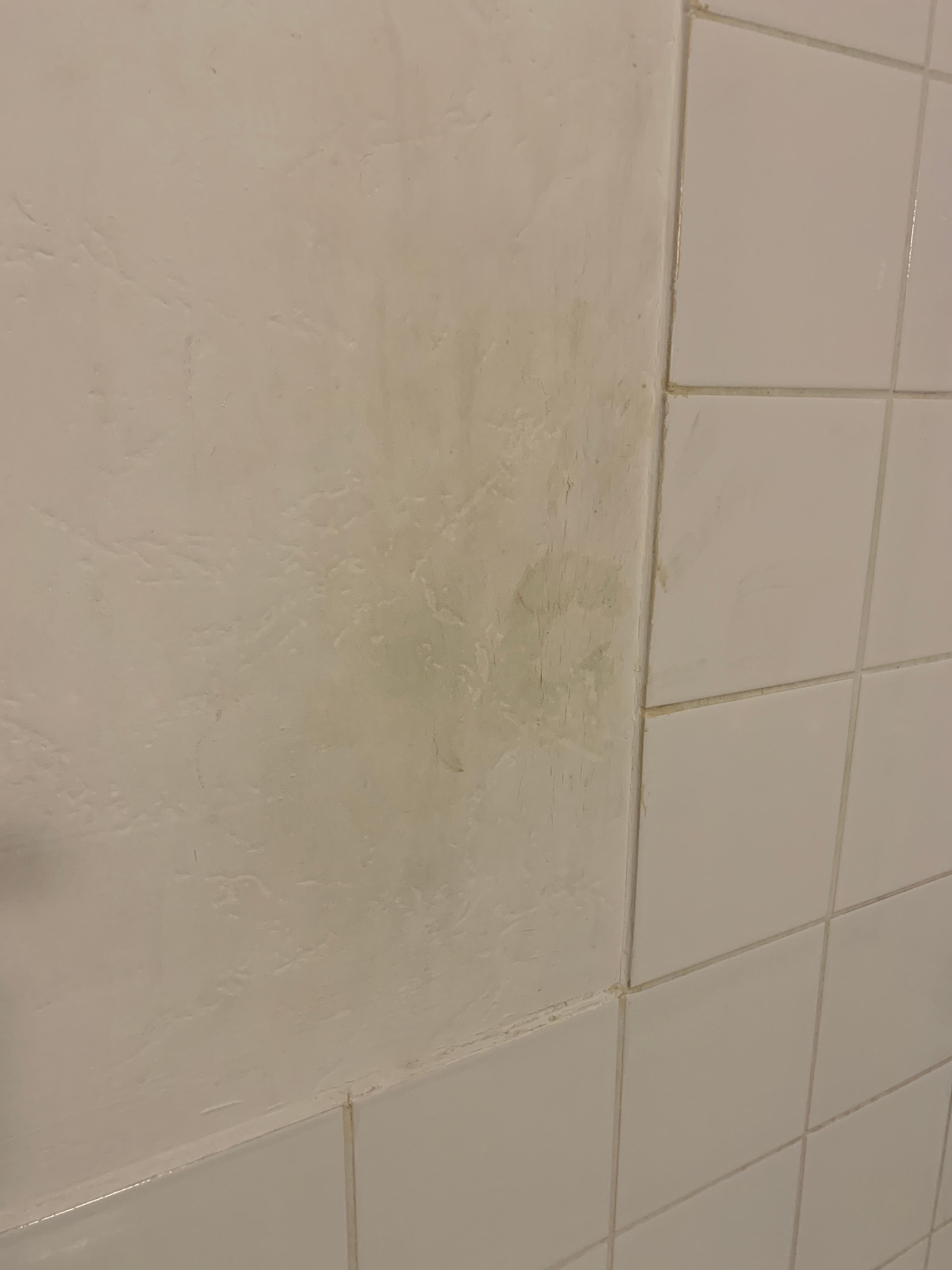 Dirty handmarks on the wall as you climb in to use the shower