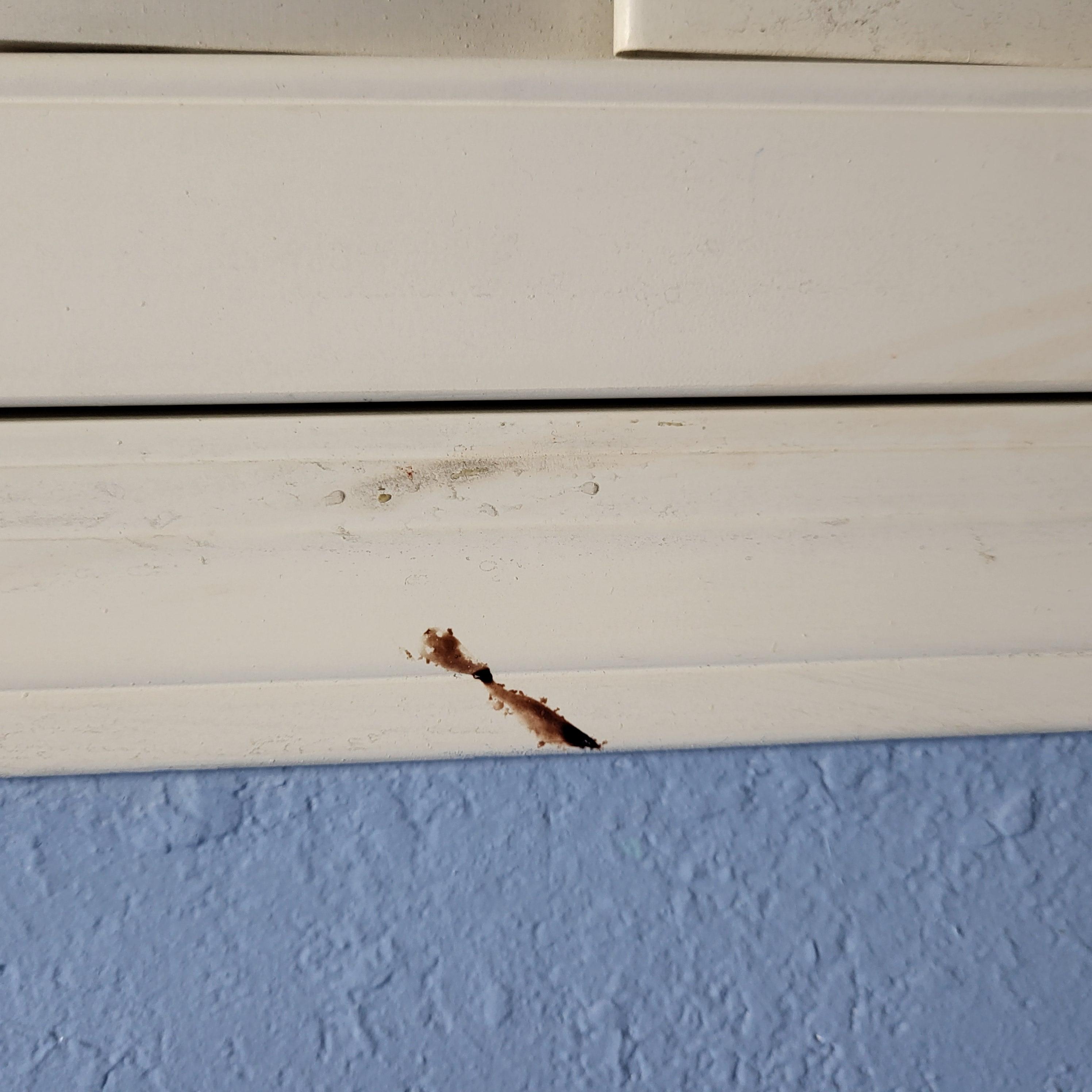 Blood on window frame in bathroom 