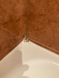 la salle de bain
