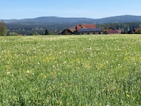 Område
