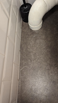 Used floss left on the bathroom floor