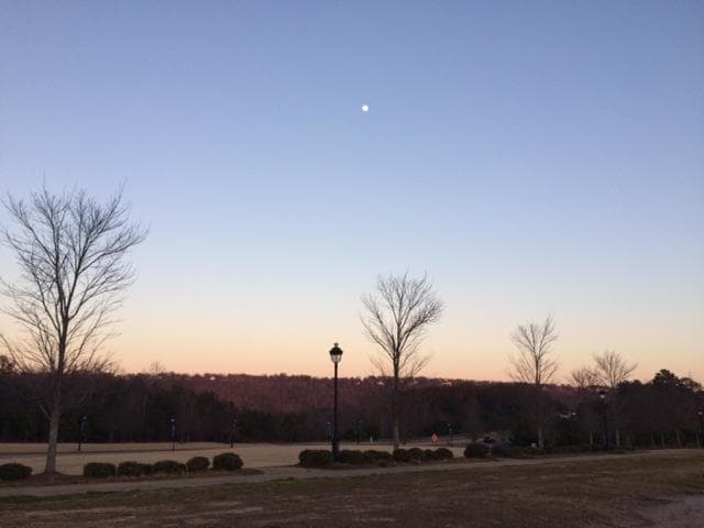 Beautiful Views