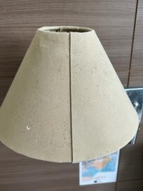 Mold and mildew everywhere