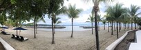 Beach View