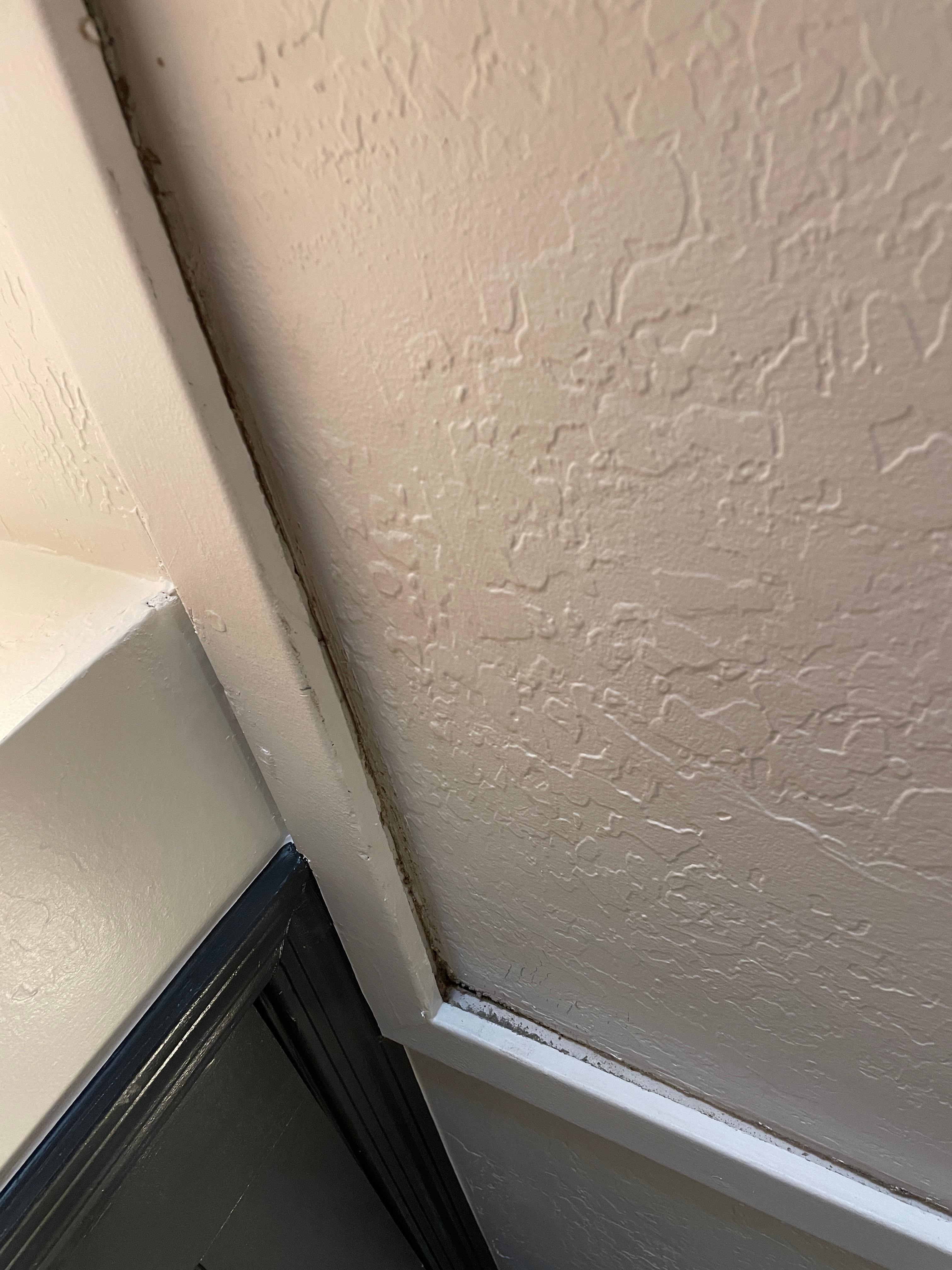 Loud AC with tons of dust trapped in the cracks