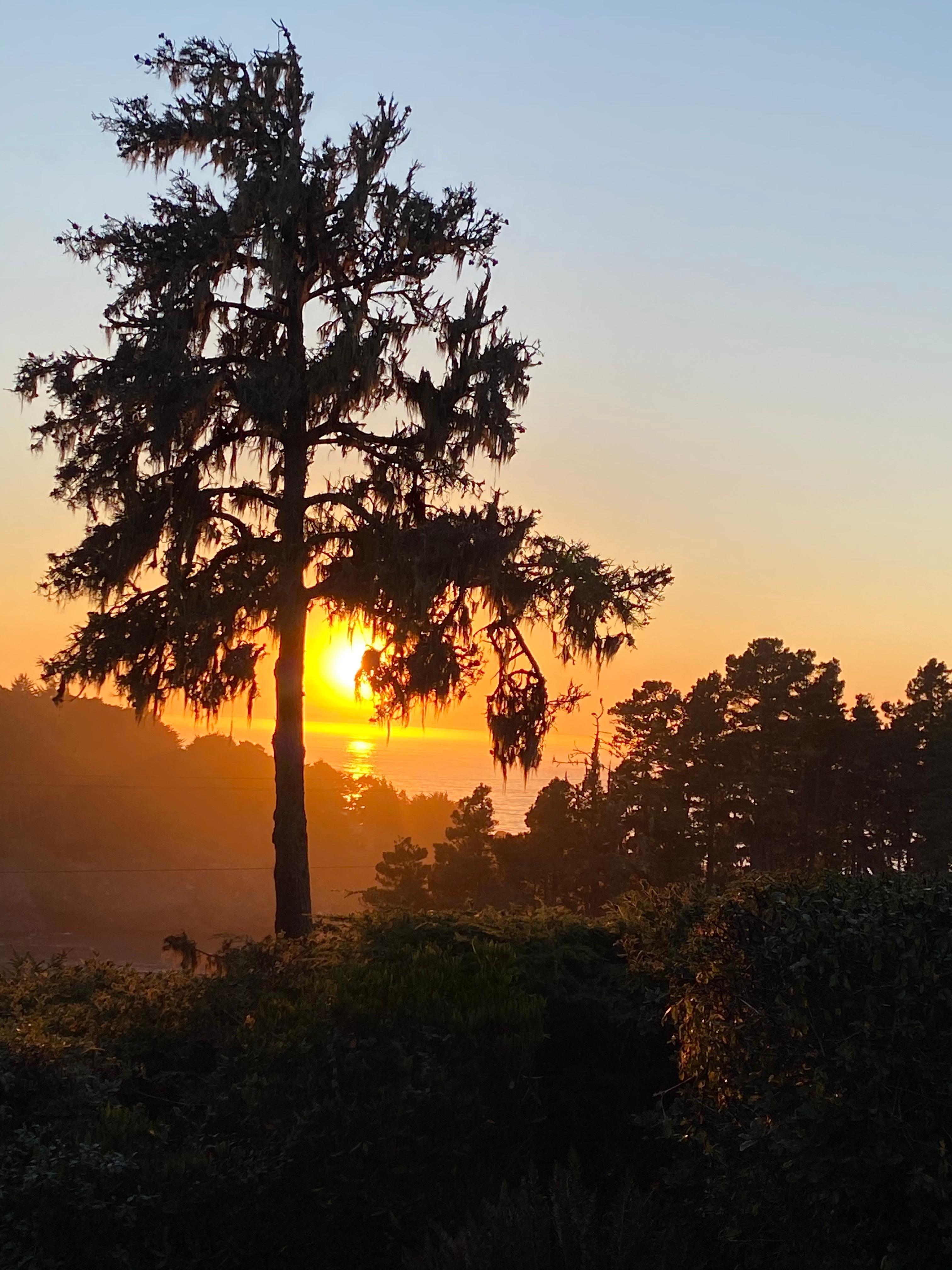 Wine hour with sunset view 