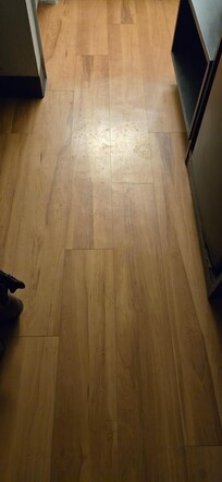Shoe prints