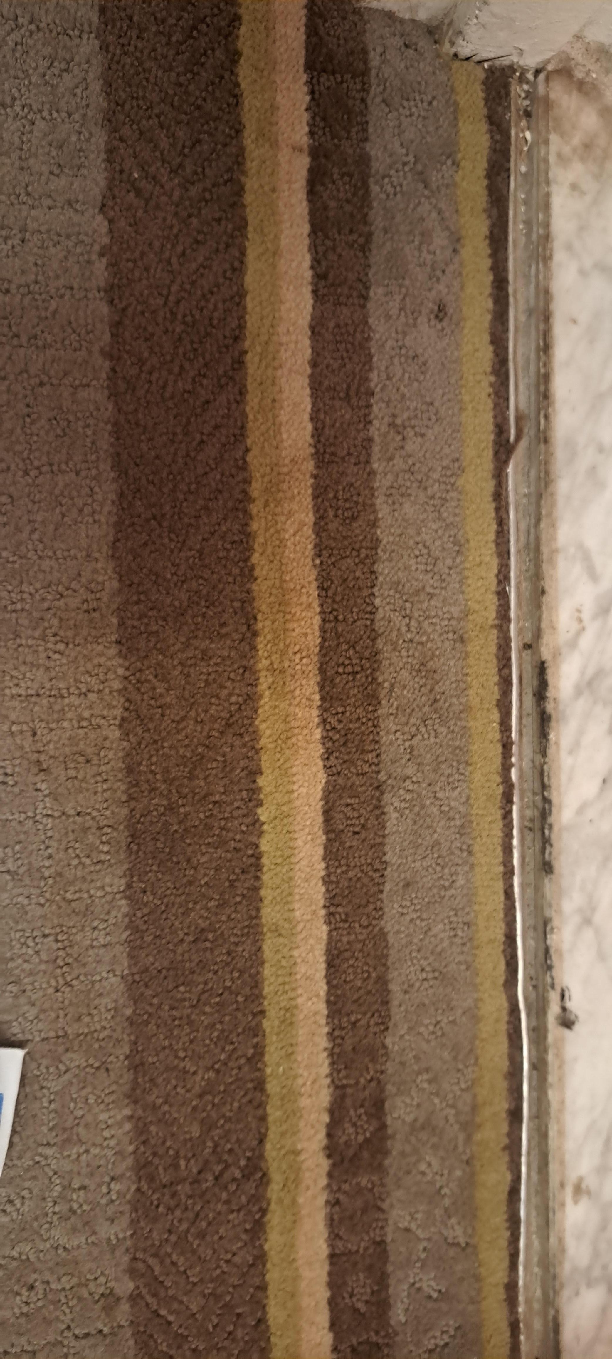 Dirty carpet
