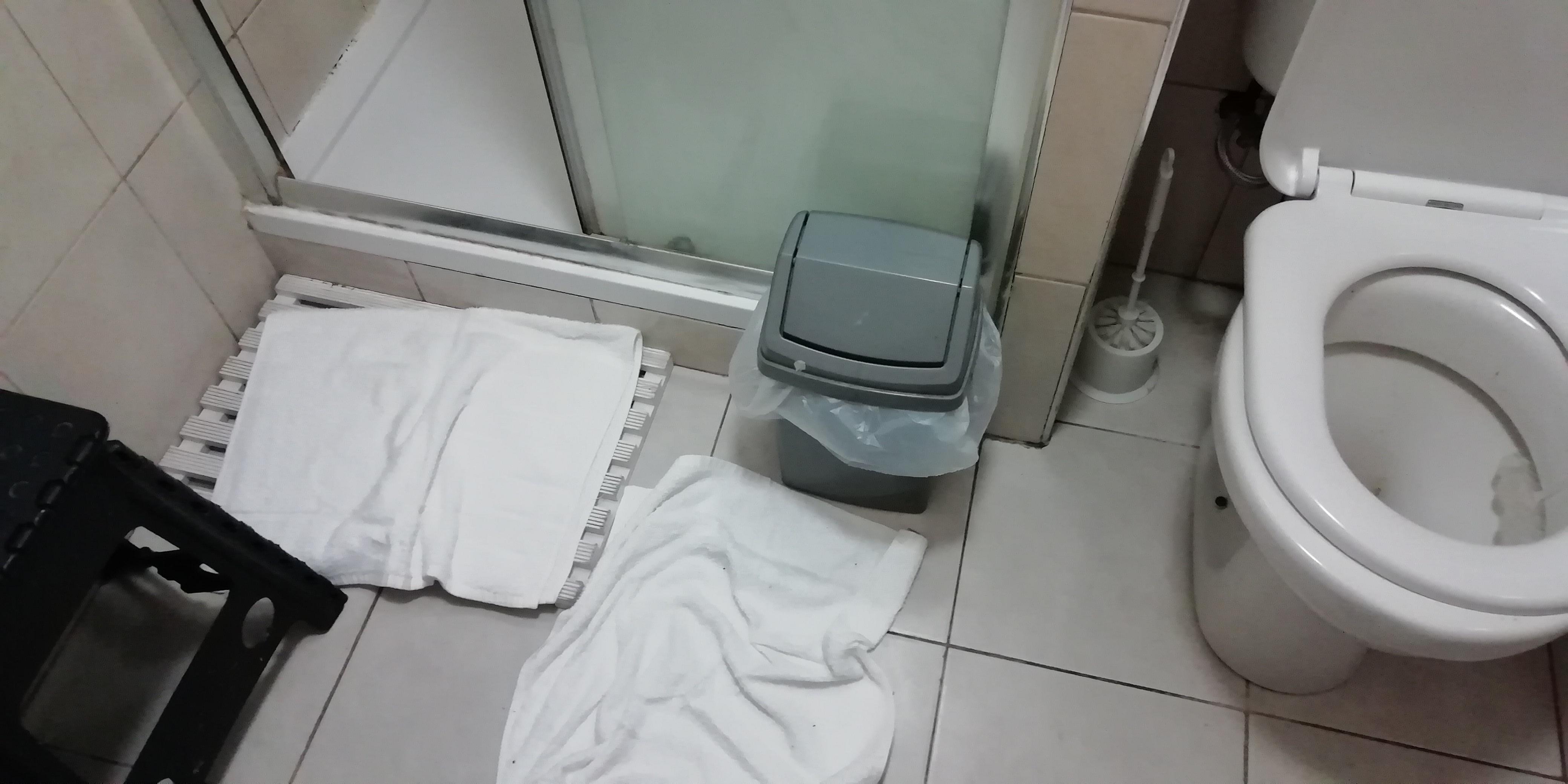 Shared bathroom, as I found it with dirty towels on floor. 