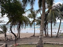 View from the room