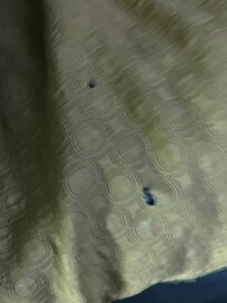 Sheet Holes showing wear