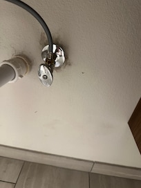 Mold or mildew