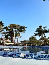 수영하러 꼭 한번 오고 싶구요