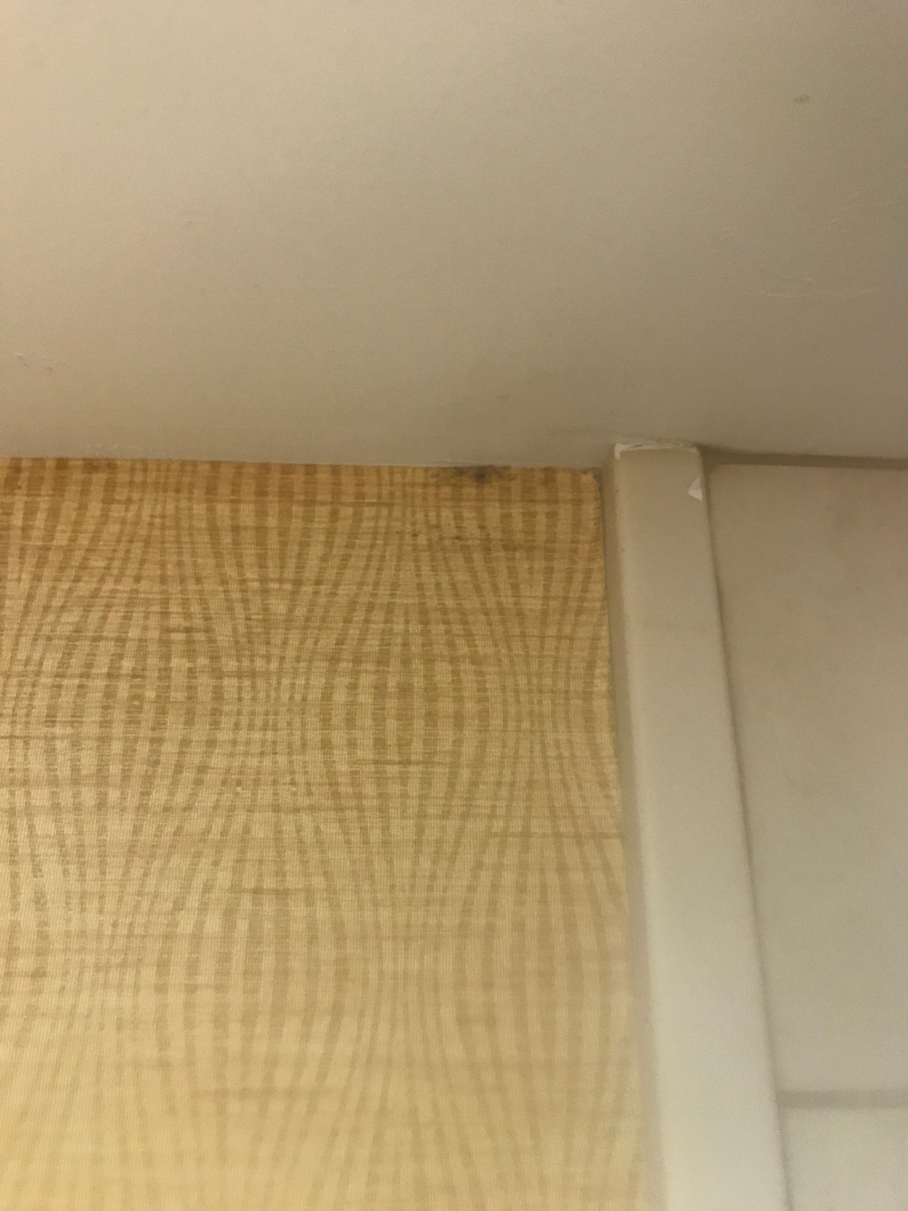 Mold