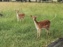 In direkter Nachbarschaft