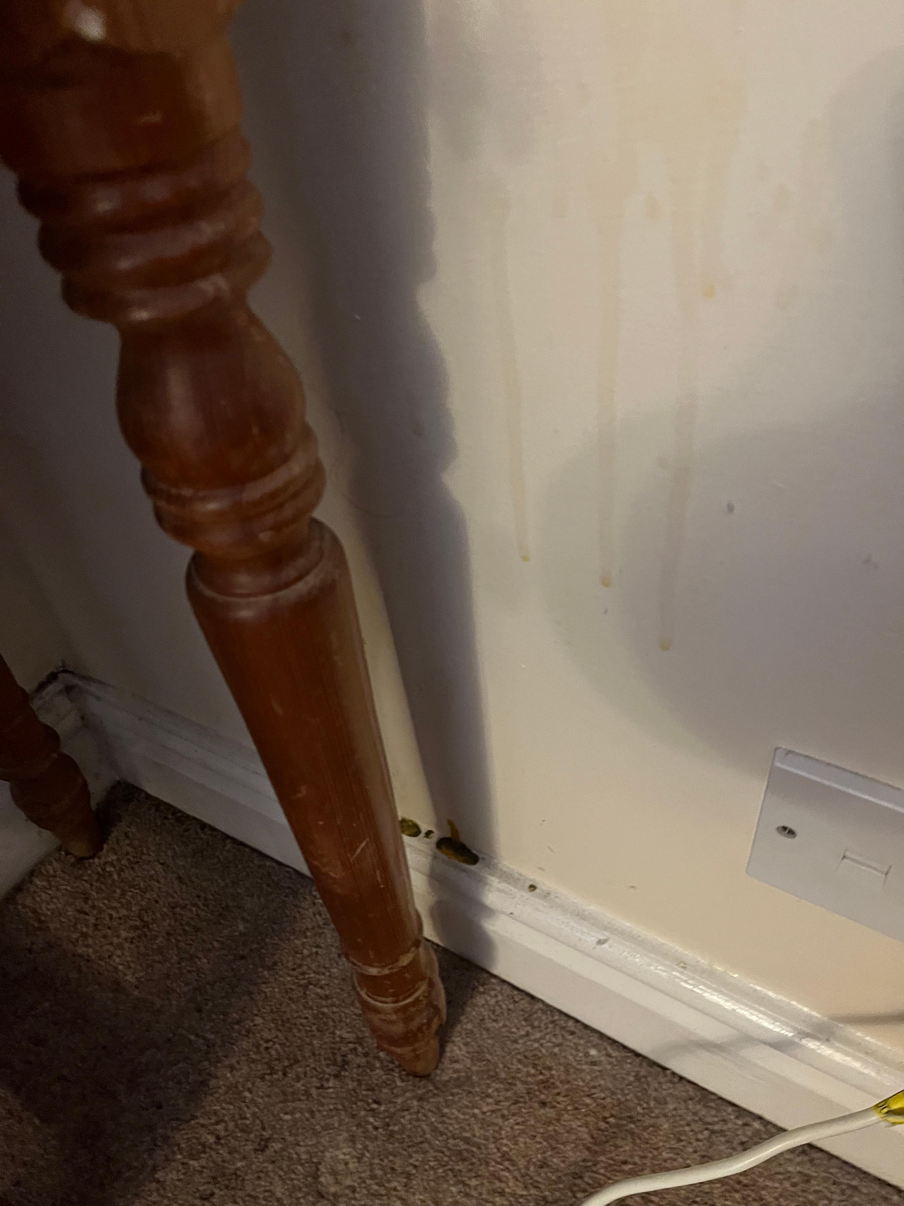 Tea stains up the wall dirty skirting board