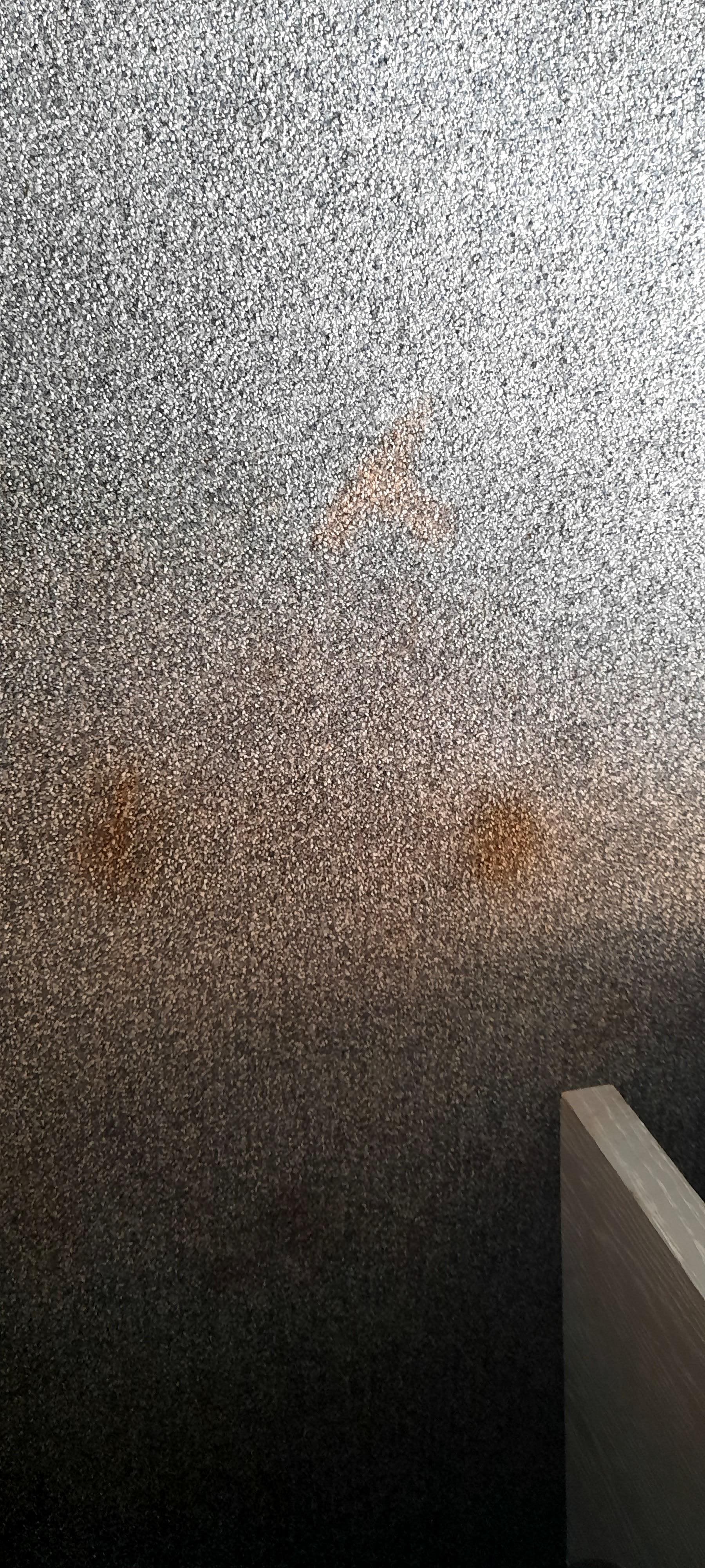 La moquette dans la chambre avec les tâches