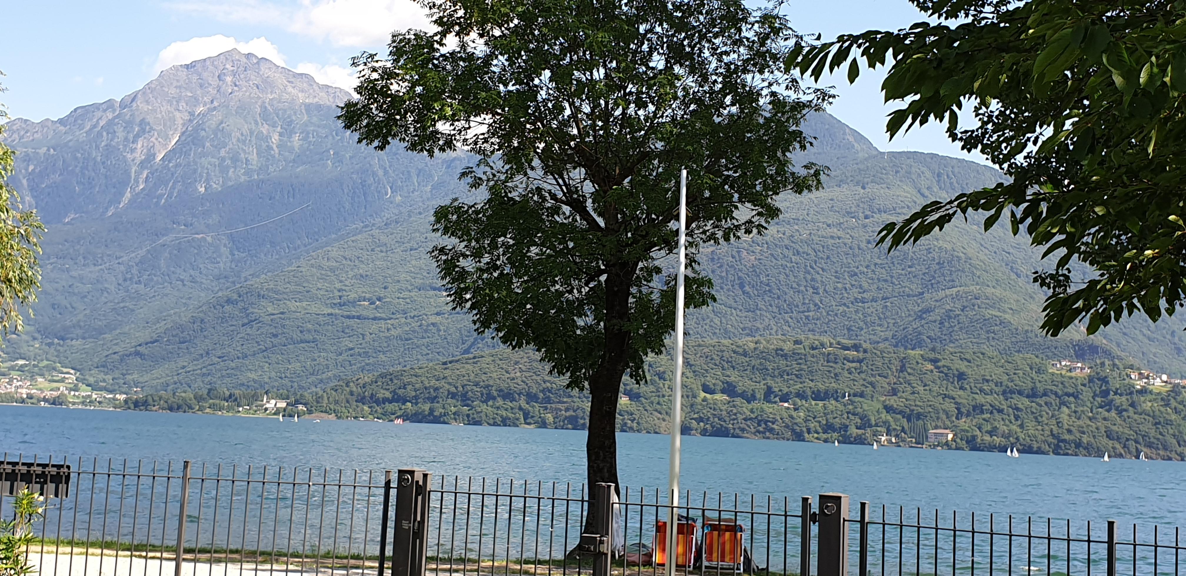 Blick von Liegewiesen auf den See